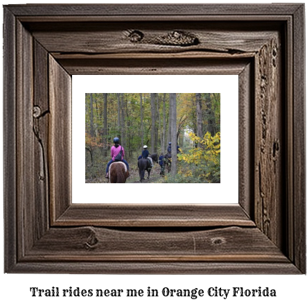 trail rides near me in Orange City, Florida